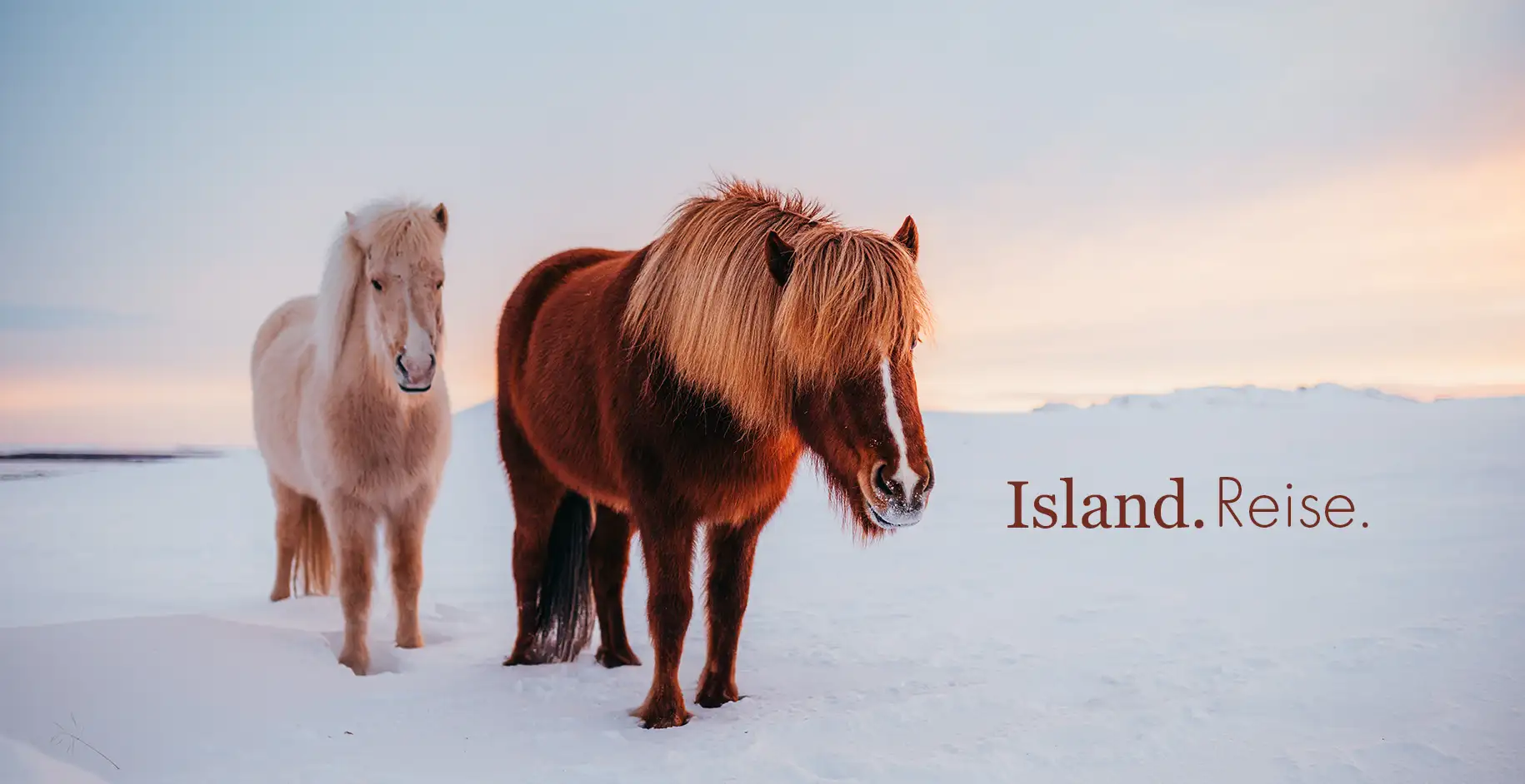 cover-island-erfahrungsbericht-reisebericht-reisen-mit-kindern-iceland
