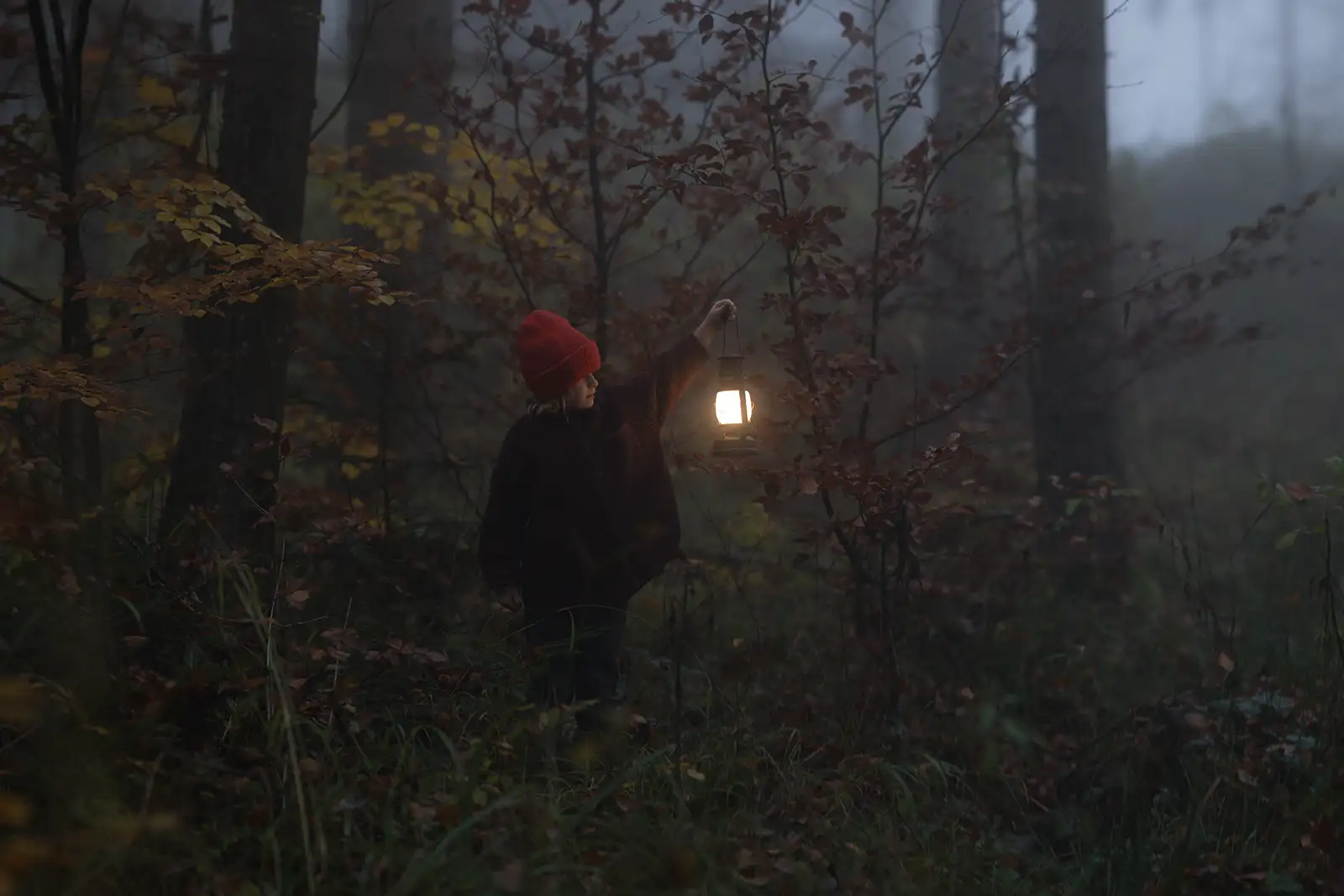unbearbeitetes Foto von Mädchen mit Laterne im Wald bei wenig Licht