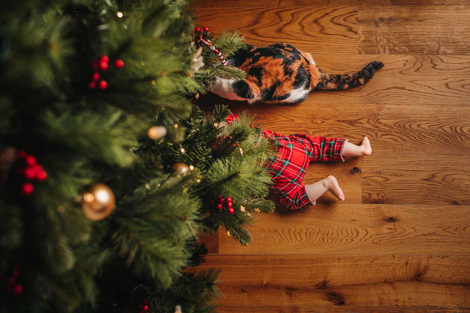 Fotoidee: Kind und Katze unter dem Weihnachtsbaum